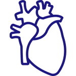 Cardiologia