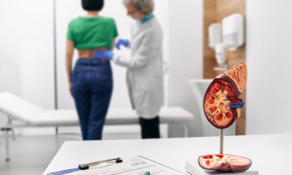 Visita Nefrologica a Taranto